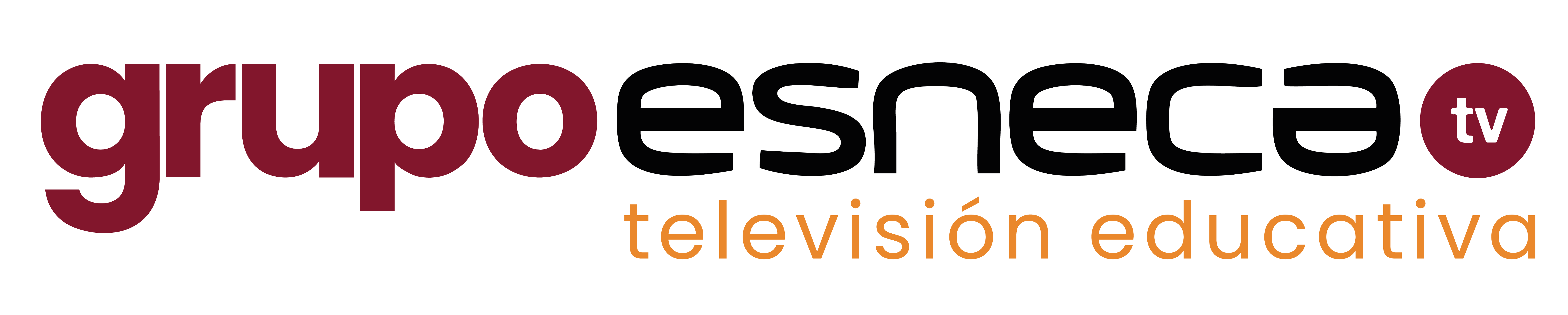 Grupo Esneca TV