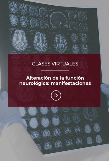 alteracion-de-la-funcion-neurologica-manifestaciones