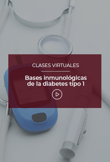 bases-inmunologicas-de-la-diabetes-tipo-1
