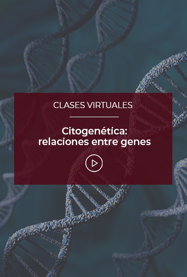 citogenetica-relaciones-entre-genes
