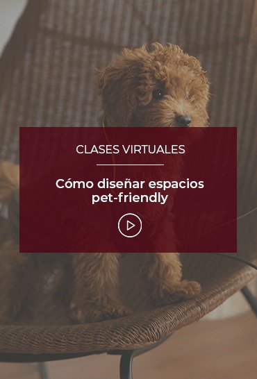 como-disenar-espacios-pet-friendly