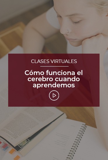 como-funciona-el-cerebro-cuando-aprendemos