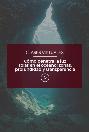 como-penetra-la-luz-solar-en-el-oceano-zonas-profundidad-y-transparencia