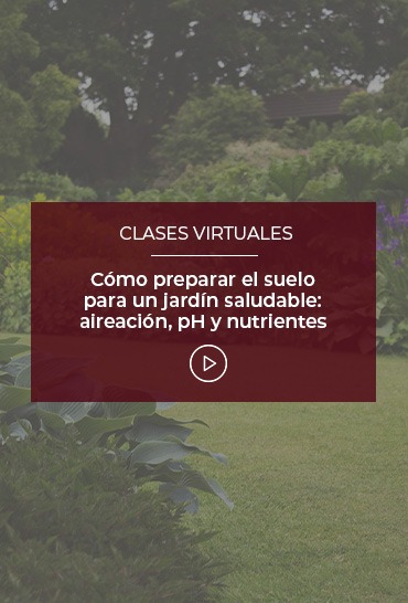 como-preparar-el-suelo-para-un-jardin-saludable-aireacion-ph-y-nutrientes