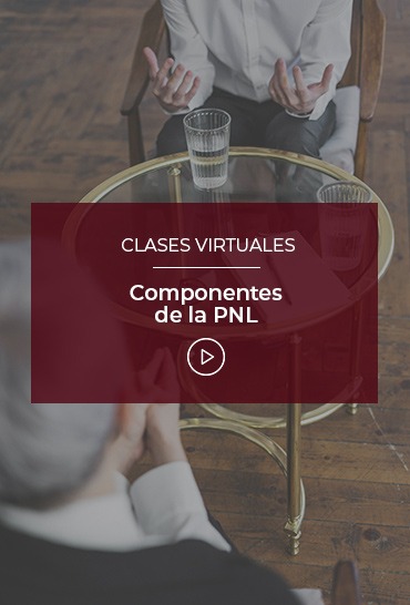componentes-de-la-pnl