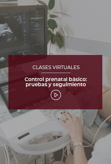 control-prenatal-basico-pruebas-y-seguimiento