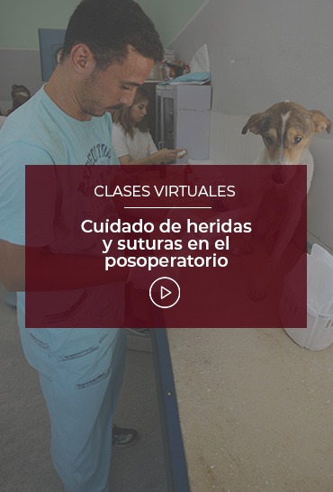 cuidado-de-heridas-y-suturas-en-el-posoperatorio