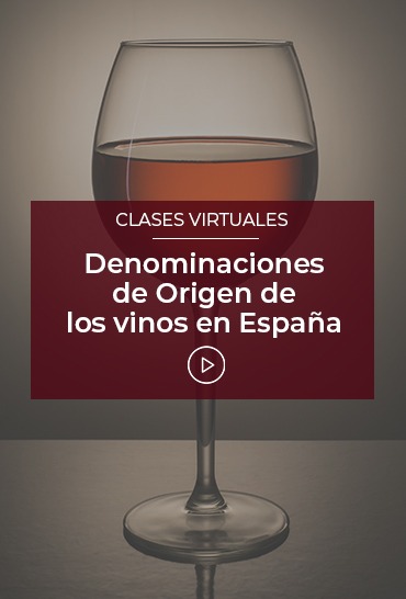 Denominaciones-de-origen-de-los-vinos-en-espana