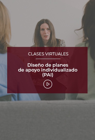 diseno-de-planes-de-apoyo-individualizado-pai