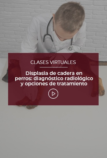 displasia-de-cadera-en-perros-diagnostico-radiologico-y-opciones-de-tratamiento