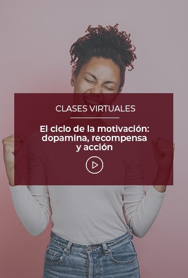 el-ciclo-de-la-motivacion-dopamina-recompensa-y-accion