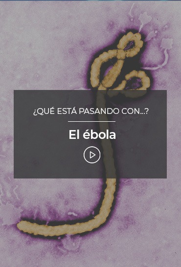 que-esta-pasando-con-el-ebola