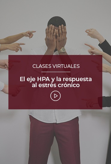 el-eje-hpa-y-la-respuesta-al-estres-cronico