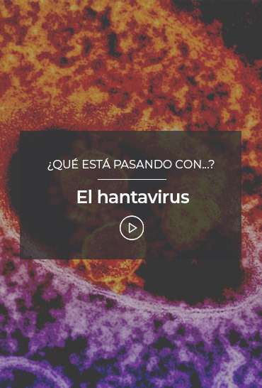 el-hantavirus
