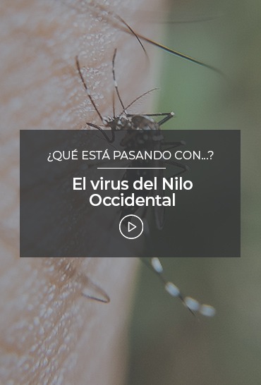 el-virus-del-nilo-occidental