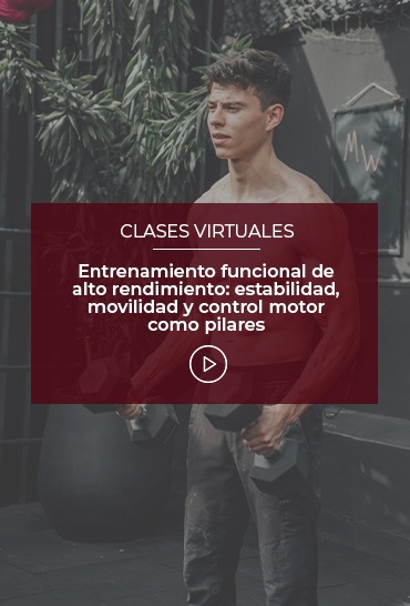 entrenamiento-funcional-de-alto-rendimiento-estabilidad-movilidad-y-control-motor-como-pilares