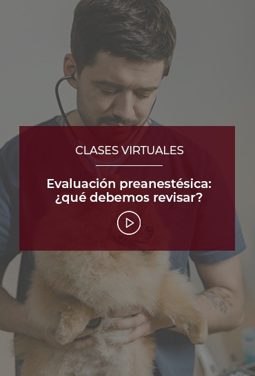 evaluacion-preanestesica-que-debemos-revisar
