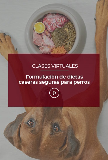 formulacion-de-dietas-caseras-seguras-para-perros