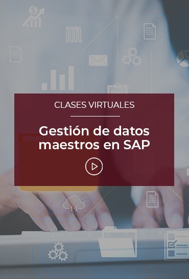 Gestion-de-datos-maestros-en-SAP