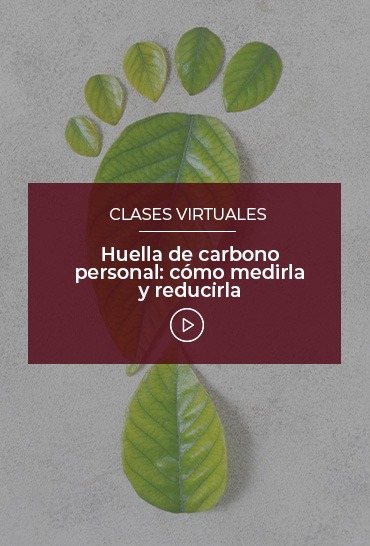 huella-de-carbono-personal-como-medirla-y-reducirla