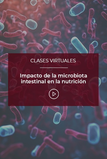 impacto-de-la-microbiota-intestinal-en-la-nutricion
