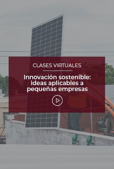 innovacion-sostenible-ideas-aplicables-a-pequenas-empresas