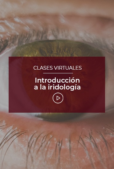 introduccion-a-la-iridologia