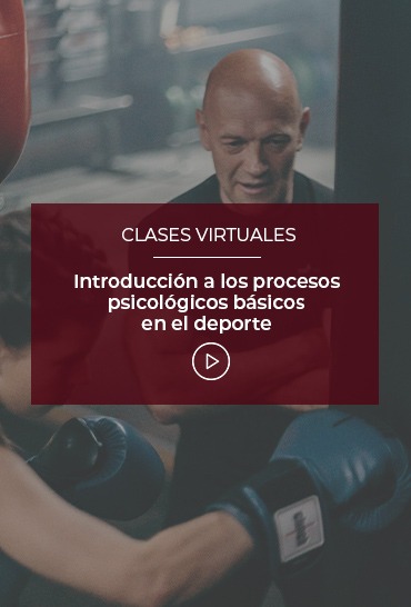 introduccion-a-los-procesos-psicologicos-basicos-en-el-deporte