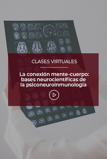 la-conexion-mente-cuerpo-bases-neurocientificas-de-la-psiconeuroinmunologia