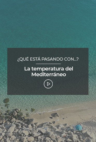 la-temperatura-del-mediterraneo
