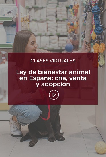 ley-de-bienestar-animal-en-espana-cria-venta-y-adopcion