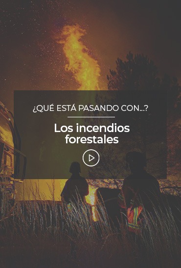 que-esta-pasando-con-los-incendios-forestales