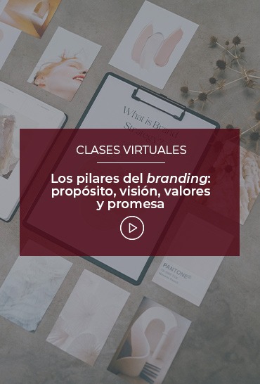 los-pilares-del-branding-proposito-vision-valores-y-promesa