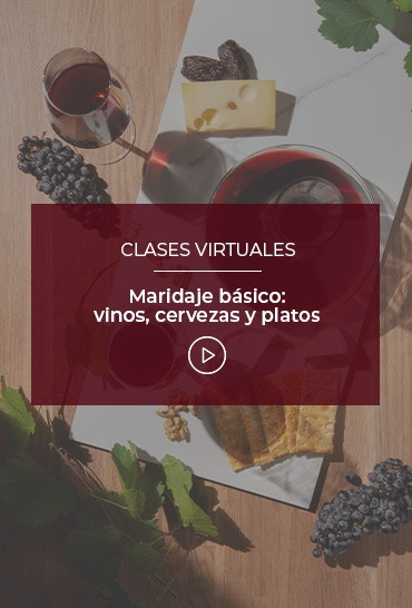 maridaje-basico-vinos-cervezas-y-platos