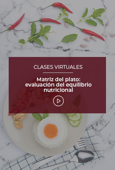 matriz-del-plato-evaluacion-del-equilibrio-nutricional