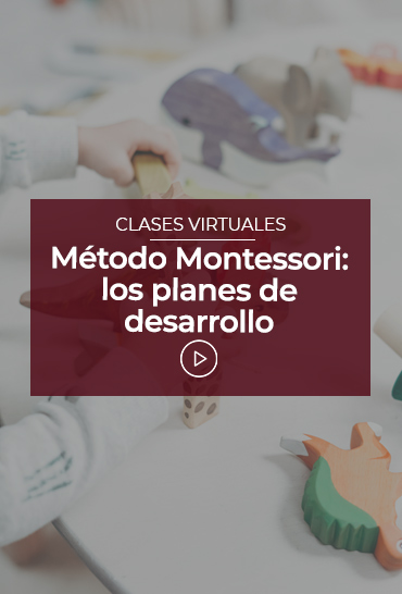 Método Montessori: los planes de desarrollo