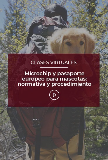 microchip-y-pasaporte-europeo-para-mascotas-normativa-y-procedimiento