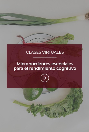 macronutrientes-esenciales-para-el-rendimiento-cognitivo