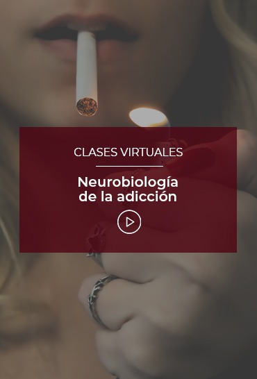neurobiologia-de-la-adiccion