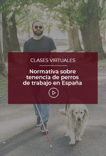 normativa-sobre-tenencia-de-perros-de-trabajo-en-espana