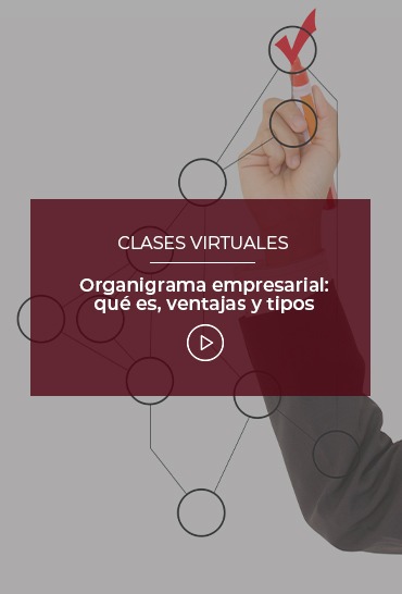 organigrama-empresarial-que-es-ventajas-y-tipos