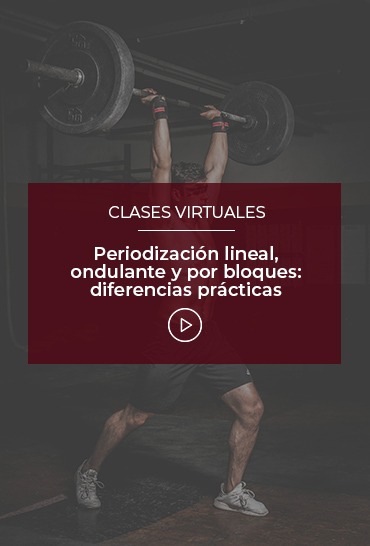 periodizacion-lineal-ondulante-y-por-bloques-diferencias-practicas