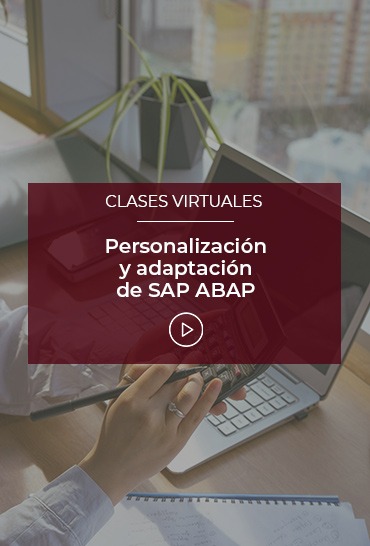 personalizacion-y-adaptacion-de-sap-abap