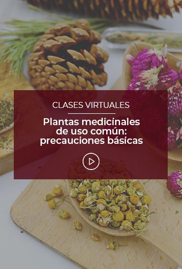 plantas-medicinales-de-uso-comun-precauciones-basicas