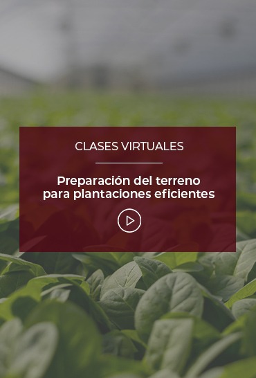 preparacion-del-terreno-para-plantaciones-eficientes