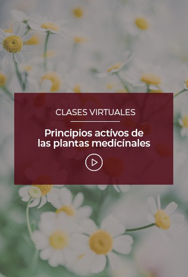 principios-activos-de-las-plantas-medicinales