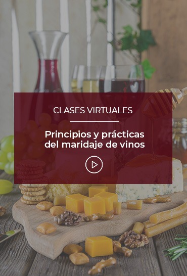 principios-y-practicas-del-maridaje-de-vinos