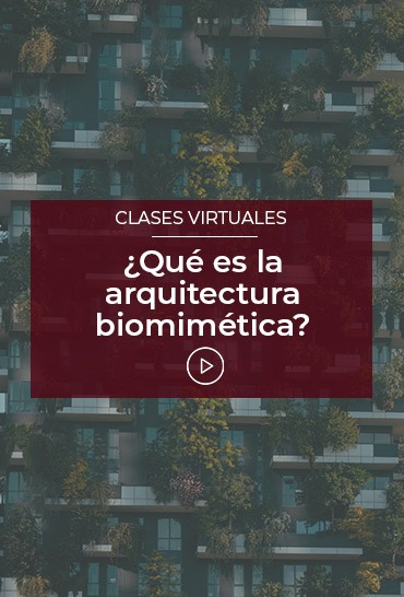 Que-es-la-arquitectura-biomimetica