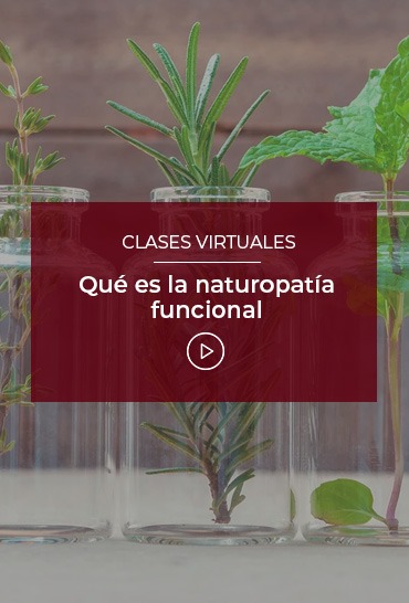 que-es-la-naturopatia-funcional
