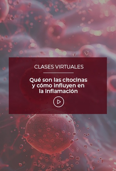 que-son-las-citocinas-y-como-influyen-en-la-inflamacion